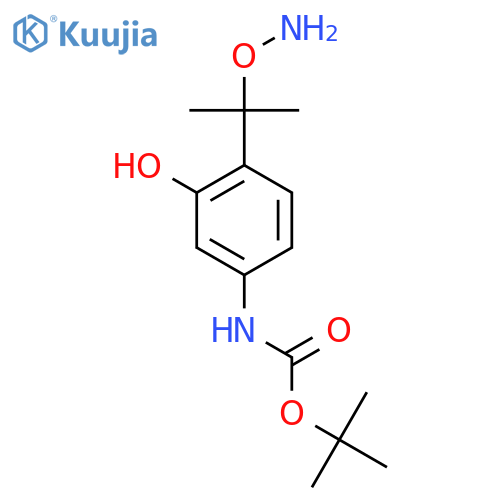 tert-butyl N-{4-2-(aminooxy)propan-2-yl-3-hydroxyphenyl}carbamate structure