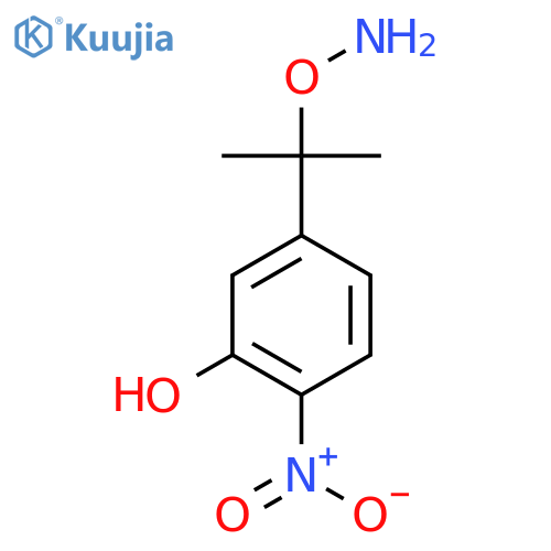 5-2-(aminooxy)propan-2-yl-2-nitrophenol structure
