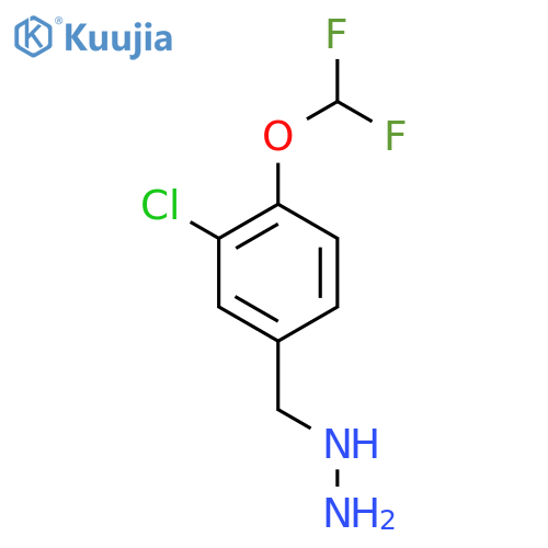 {3-chloro-4-(difluoromethoxy)phenylmethyl}hydrazine structure