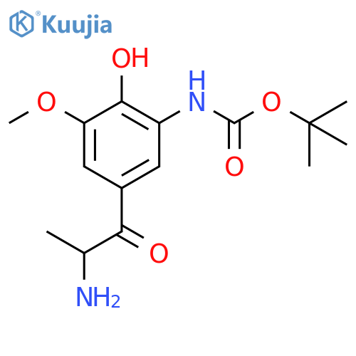 tert-butyl N-5-(2-aminopropanoyl)-2-hydroxy-3-methoxyphenylcarbamate structure