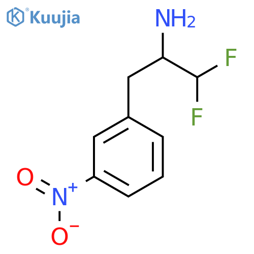 1,1-difluoro-3-(3-nitrophenyl)propan-2-amine structure