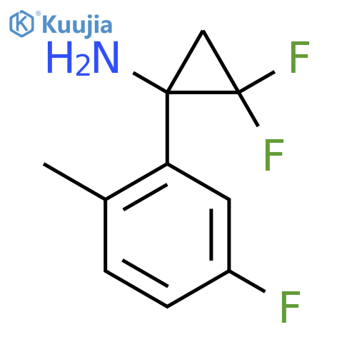 2,2-difluoro-1-(5-fluoro-2-methylphenyl)cyclopropan-1-amine structure