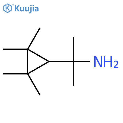 2-(2,2,3,3-tetramethylcyclopropyl)propan-2-amine structure
