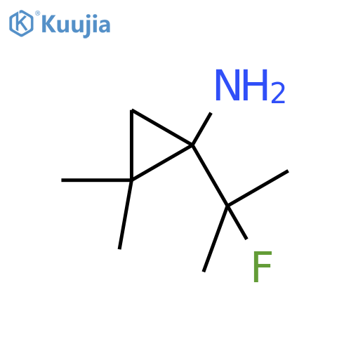 1-(2-fluoropropan-2-yl)-2,2-dimethylcyclopropan-1-amine structure