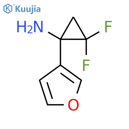 2,2-difluoro-1-(furan-3-yl)cyclopropan-1-amine structure