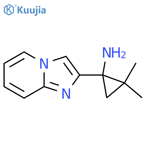 1-{imidazo1,2-apyridin-2-yl}-2,2-dimethylcyclopropan-1-amine structure