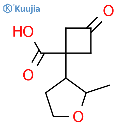 1-(2-methyloxolan-3-yl)-3-oxocyclobutane-1-carboxylic acid structure