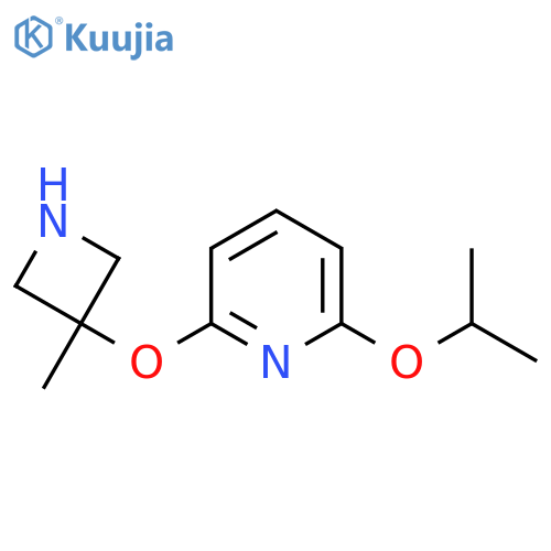 2-(3-methylazetidin-3-yl)oxy-6-(propan-2-yloxy)pyridine structure