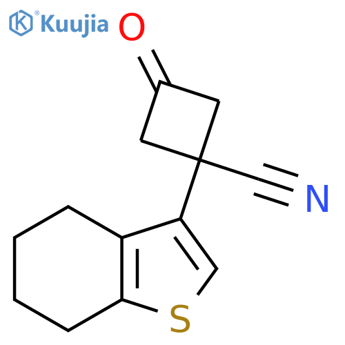 3-oxo-1-(4,5,6,7-tetrahydro-1-benzothiophen-3-yl)cyclobutane-1-carbonitrile structure