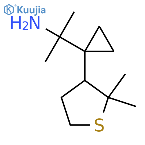 2-1-(2,2-dimethylthiolan-3-yl)cyclopropylpropan-2-amine structure