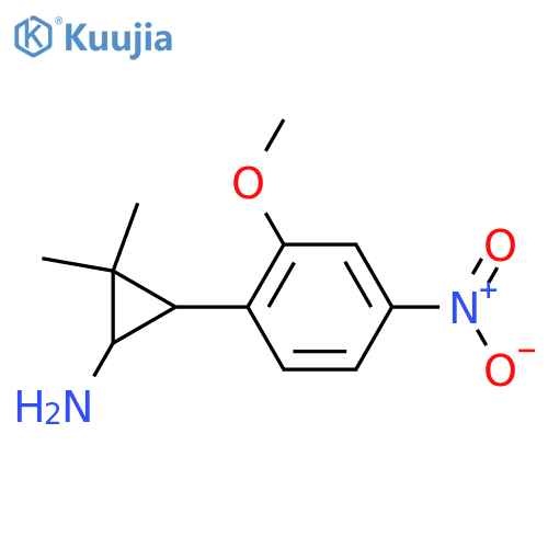 3-(2-methoxy-4-nitrophenyl)-2,2-dimethylcyclopropan-1-amine structure