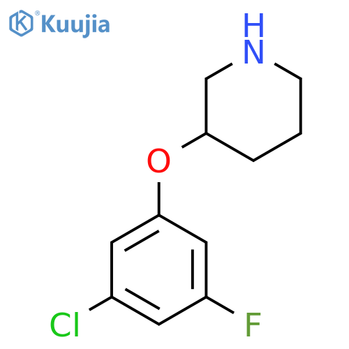 3-(3-chloro-5-fluorophenoxy)piperidine structure
