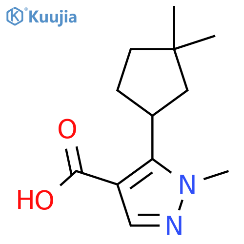 5-(3,3-dimethylcyclopentyl)-1-methyl-1H-pyrazole-4-carboxylic acid structure