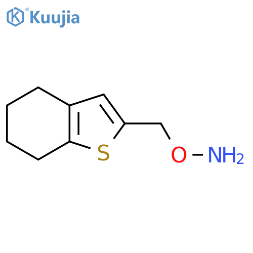 O-(4,5,6,7-tetrahydro-1-benzothiophen-2-yl)methylhydroxylamine structure