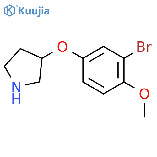 3-(3-bromo-4-methoxyphenoxy)pyrrolidine structure