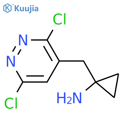 1-(3,6-dichloropyridazin-4-yl)methylcyclopropan-1-amine structure