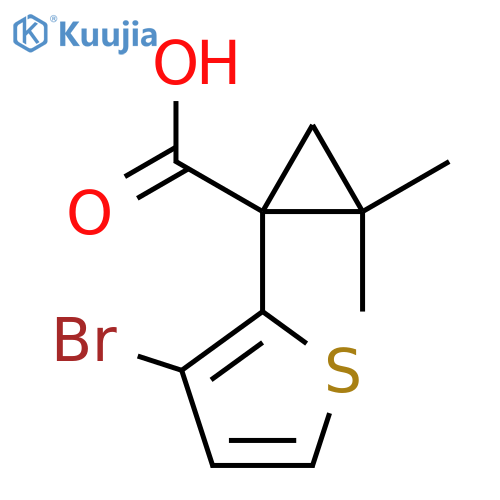 1-(3-bromothiophen-2-yl)-2,2-dimethylcyclopropane-1-carboxylic acid structure
