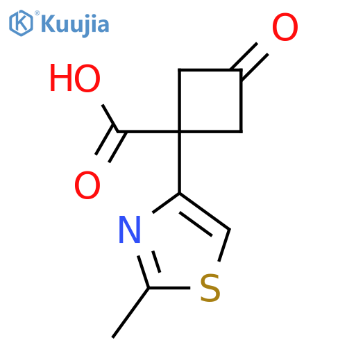 1-(2-methyl-1,3-thiazol-4-yl)-3-oxocyclobutane-1-carboxylic acid structure