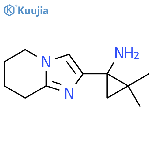 1-{5H,6H,7H,8H-imidazo1,2-apyridin-2-yl}-2,2-dimethylcyclopropan-1-amine structure