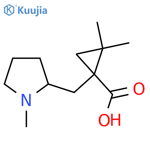 2,2-dimethyl-1-(1-methylpyrrolidin-2-yl)methylcyclopropane-1-carboxylic acid structure