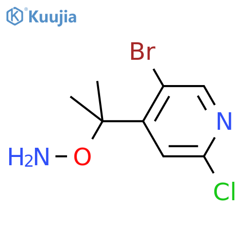 O-2-(5-bromo-2-chloropyridin-4-yl)propan-2-ylhydroxylamine structure