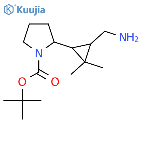 tert-butyl 2-3-(aminomethyl)-2,2-dimethylcyclopropylpyrrolidine-1-carboxylate structure