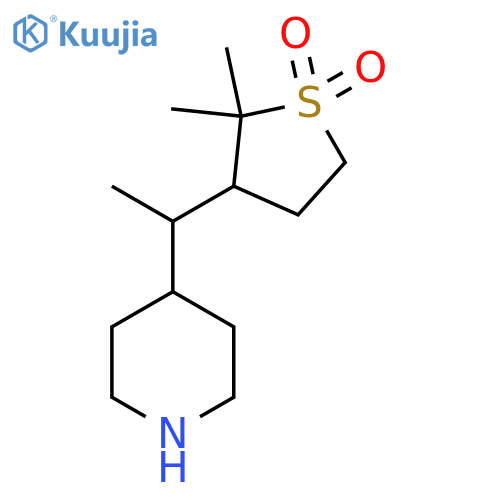 2,2-dimethyl-3-1-(piperidin-4-yl)ethyl-1lambda6-thiolane-1,1-dione structure