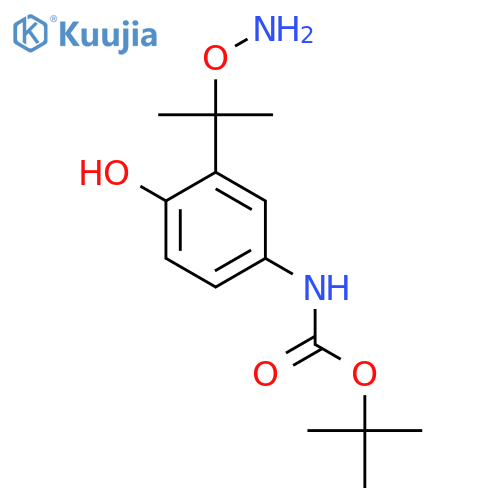 tert-butyl N-{3-2-(aminooxy)propan-2-yl-4-hydroxyphenyl}carbamate structure