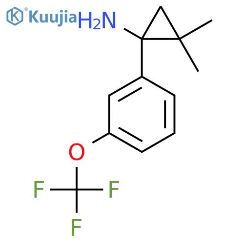 2,2-dimethyl-1-3-(trifluoromethoxy)phenylcyclopropan-1-amine structure