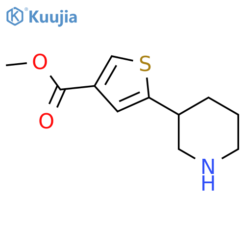 methyl 5-(piperidin-3-yl)thiophene-3-carboxylate structure