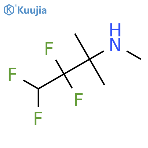 methyl(3,3,4,4-tetrafluoro-2-methylbutan-2-yl)amine structure
