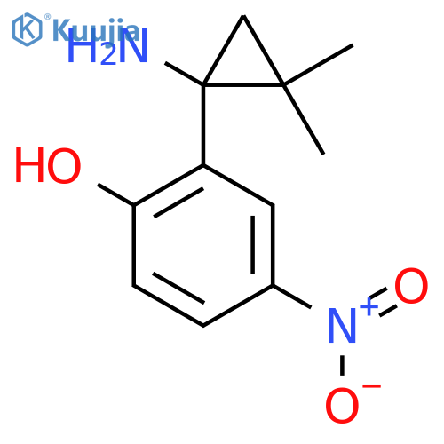 2-(1-amino-2,2-dimethylcyclopropyl)-4-nitrophenol structure