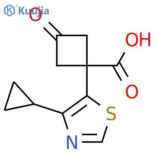 1-(4-cyclopropyl-1,3-thiazol-5-yl)-3-oxocyclobutane-1-carboxylic acid structure