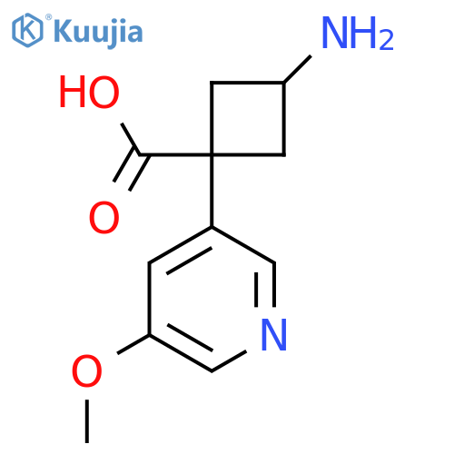 3-amino-1-(5-methoxypyridin-3-yl)cyclobutane-1-carboxylic acid structure