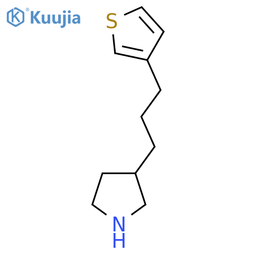 3-3-(thiophen-3-yl)propylpyrrolidine structure