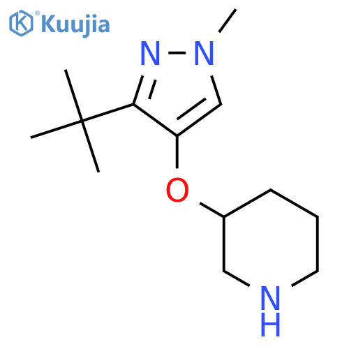 3-(3-tert-butyl-1-methyl-1H-pyrazol-4-yl)oxypiperidine structure