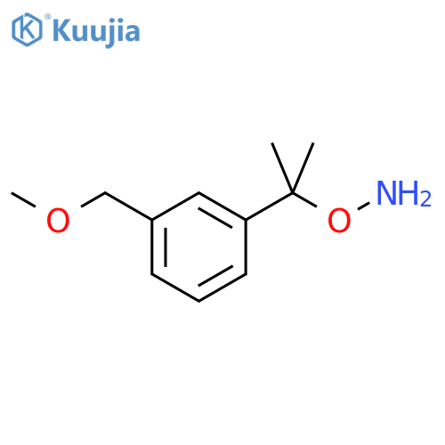 O-{2-3-(methoxymethyl)phenylpropan-2-yl}hydroxylamine structure