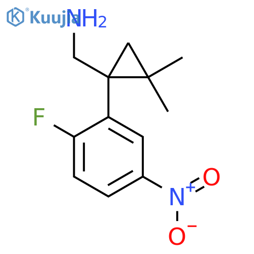 1-(2-fluoro-5-nitrophenyl)-2,2-dimethylcyclopropylmethanamine structure