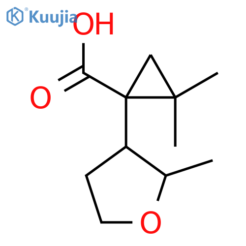 2,2-dimethyl-1-(2-methyloxolan-3-yl)cyclopropane-1-carboxylic acid structure