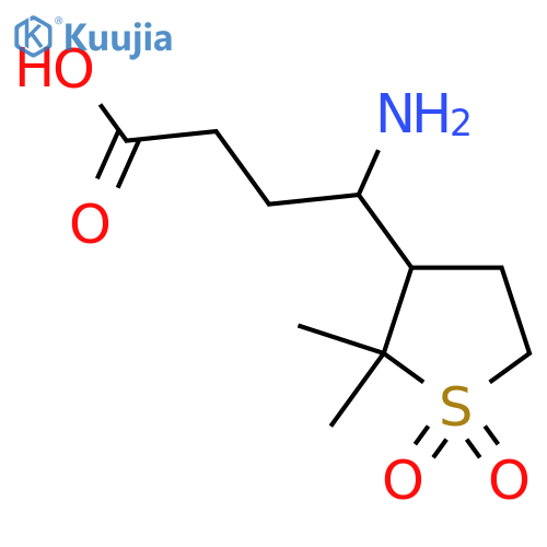 4-amino-4-(2,2-dimethyl-1,1-dioxo-1lambda6-thiolan-3-yl)butanoic acid structure
