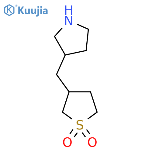 3-(pyrrolidin-3-yl)methyl-1lambda6-thiolane-1,1-dione structure