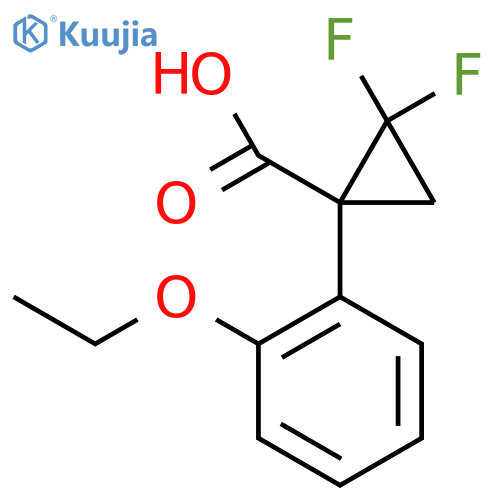 1-(2-ethoxyphenyl)-2,2-difluorocyclopropane-1-carboxylic acid structure