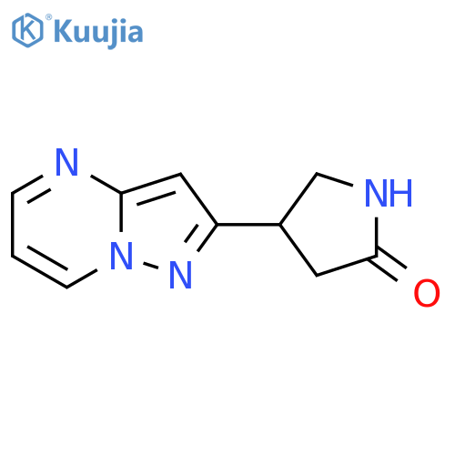 4-{pyrazolo1,5-apyrimidin-2-yl}pyrrolidin-2-one structure