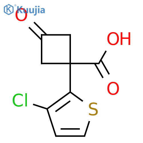 1-(3-chlorothiophen-2-yl)-3-oxocyclobutane-1-carboxylic acid structure
