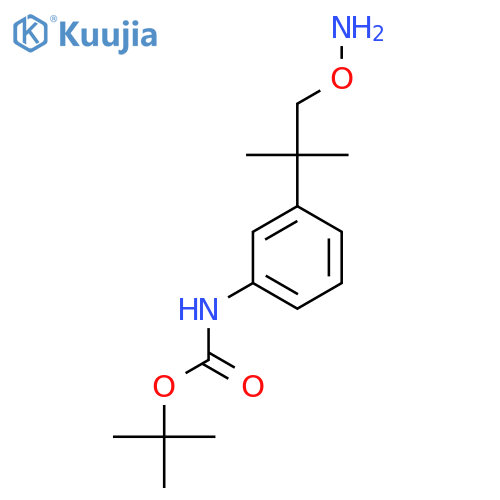 tert-butyl N-{3-1-(aminooxy)-2-methylpropan-2-ylphenyl}carbamate structure