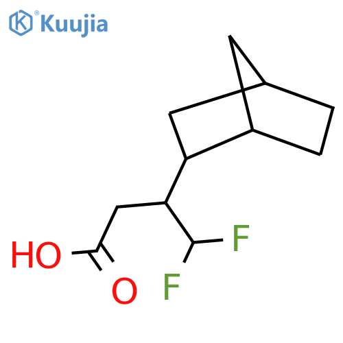 3-{bicyclo2.2.1heptan-2-yl}-4,4-difluorobutanoic acid structure