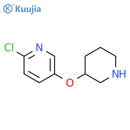 2-chloro-5-(piperidin-3-yloxy)pyridine structure