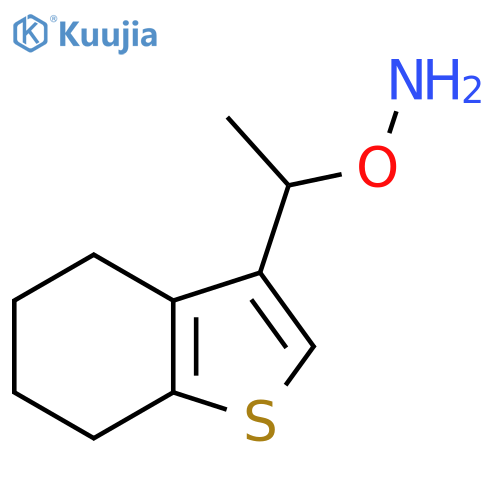 O-1-(4,5,6,7-tetrahydro-1-benzothiophen-3-yl)ethylhydroxylamine structure