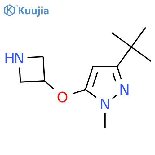 5-(azetidin-3-yloxy)-3-tert-butyl-1-methyl-1H-pyrazole structure