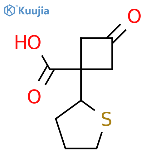 3-oxo-1-(thiolan-2-yl)cyclobutane-1-carboxylic acid structure